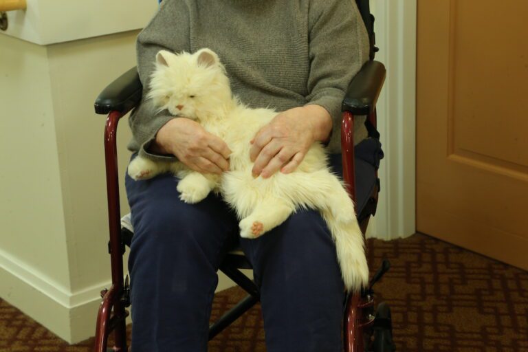 Robotic Pets For Dementia Patients: Our Experiences - Tech-enhanced Life